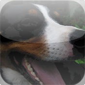 Dog Log icon